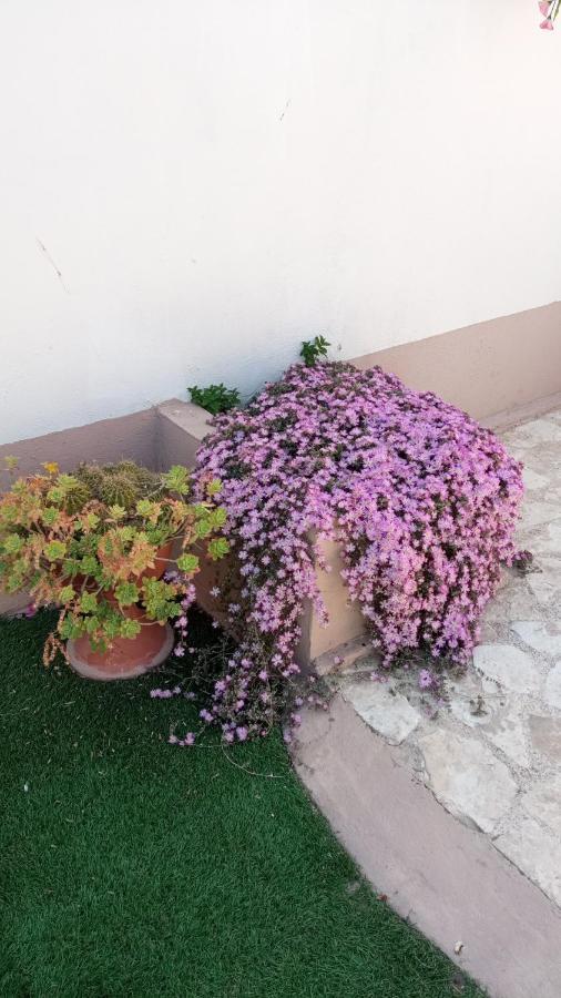 Dolce Vita Bitonto Exteriér fotografie